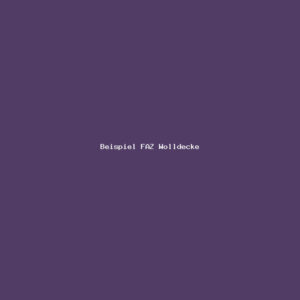 Beispiel FAZ Wolldecke